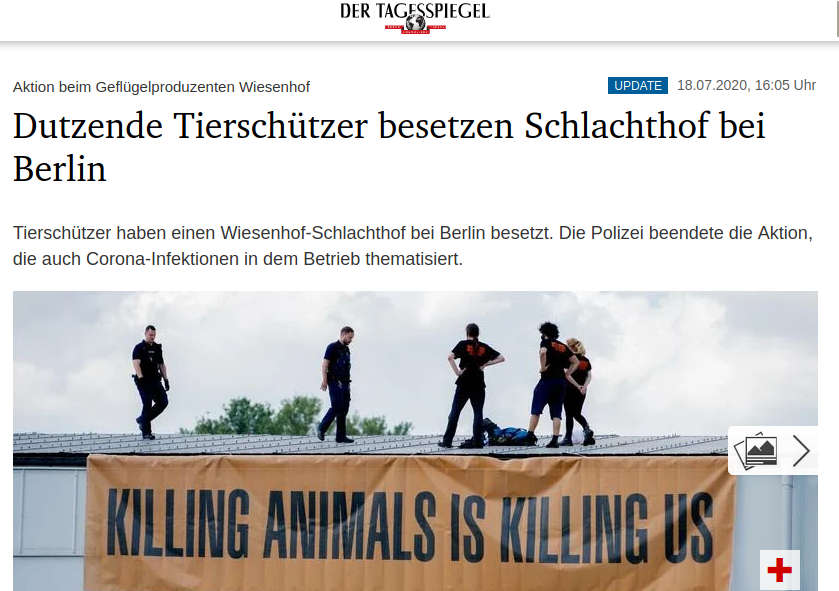 Tagesspiegel - Dutzende Tierschützer besetzen Schlachthof bei Berlin